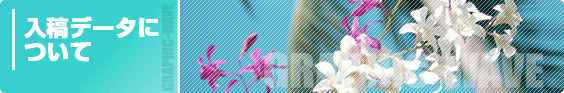 pbN@OtBbNEF[u@ef[^ɂ